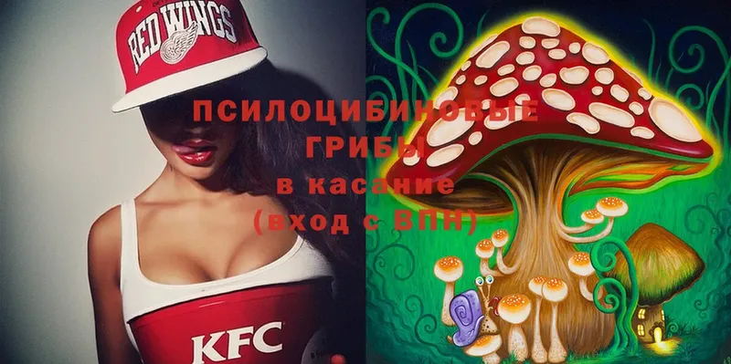 Псилоцибиновые грибы ЛСД  купить   mega как войти  Камешково 